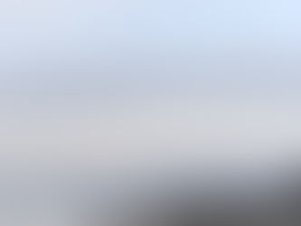 Naturens flow er fremtidens ledelsesmetode