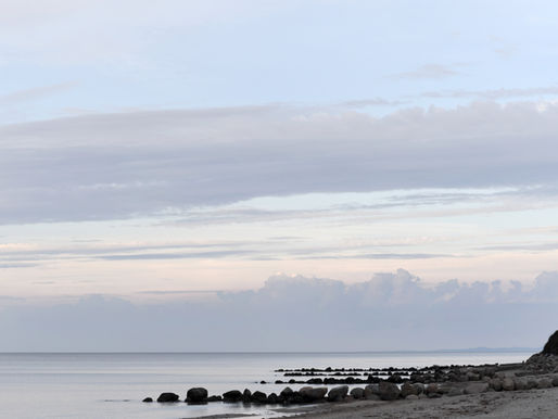 Naturens flow er fremtidens ledelsesmetode