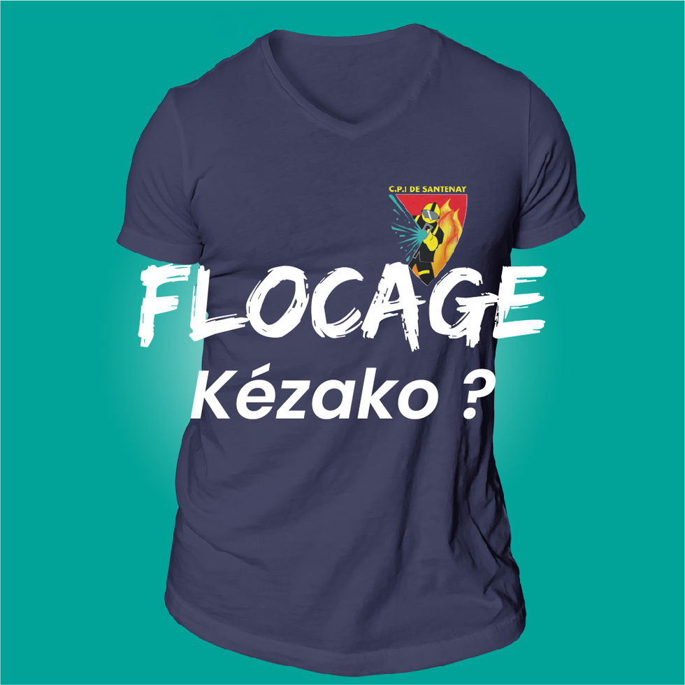 Introduction au flocage