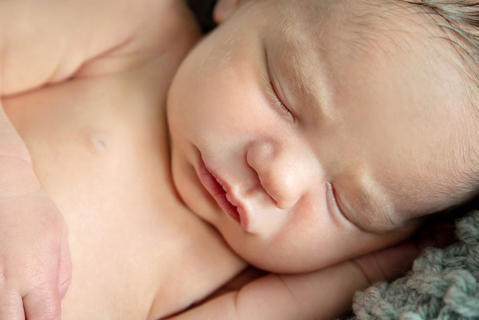 newborn fotografie by Lindsey