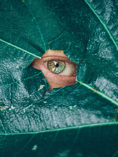 Glass Shattering Moment