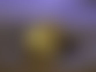 Don’t Sell Me a Dog