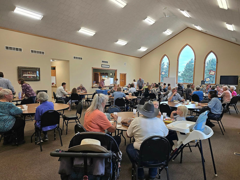 542152892_1233136125507831_7426350064058194310_n