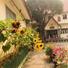 IMG_0865.jpeg