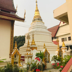 IMG_0864.jpeg