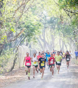 6ª Corrida da Gazeta (Piracicaba)