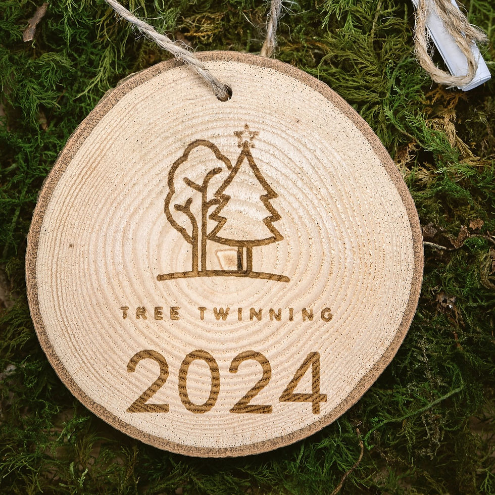 TREE TWINNING - Plant ten trees this Christmas
