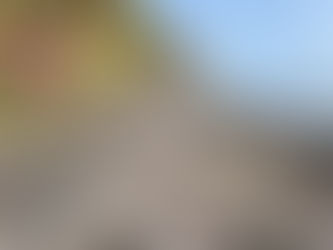 Three Wild Family Days Out at the Welsh Farm