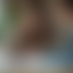 Personalized Tuition for Real Academic Progress