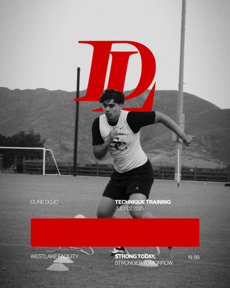 DLINE DOJO
