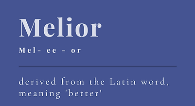 Melior accountancy recruiter Ipswich Suffolk