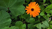 IMG_20221108_135130~2.jpg