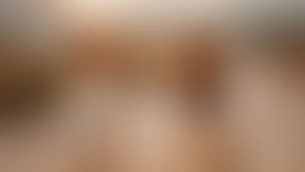 Little Dog, Big Lessons: The Socialize Phase in Action