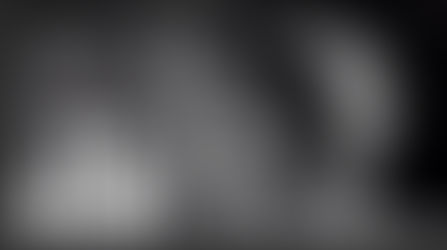 The Language Graveyard