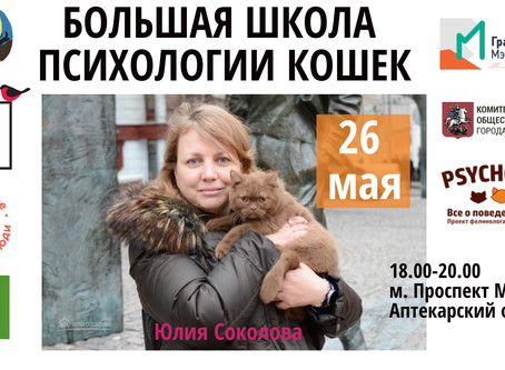 Большая школа психологии кошек