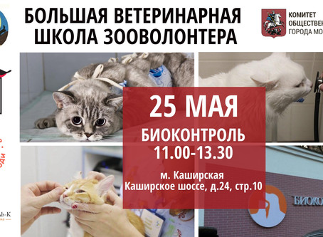 25 мая - Большая ветеринарная школа зооволонтера