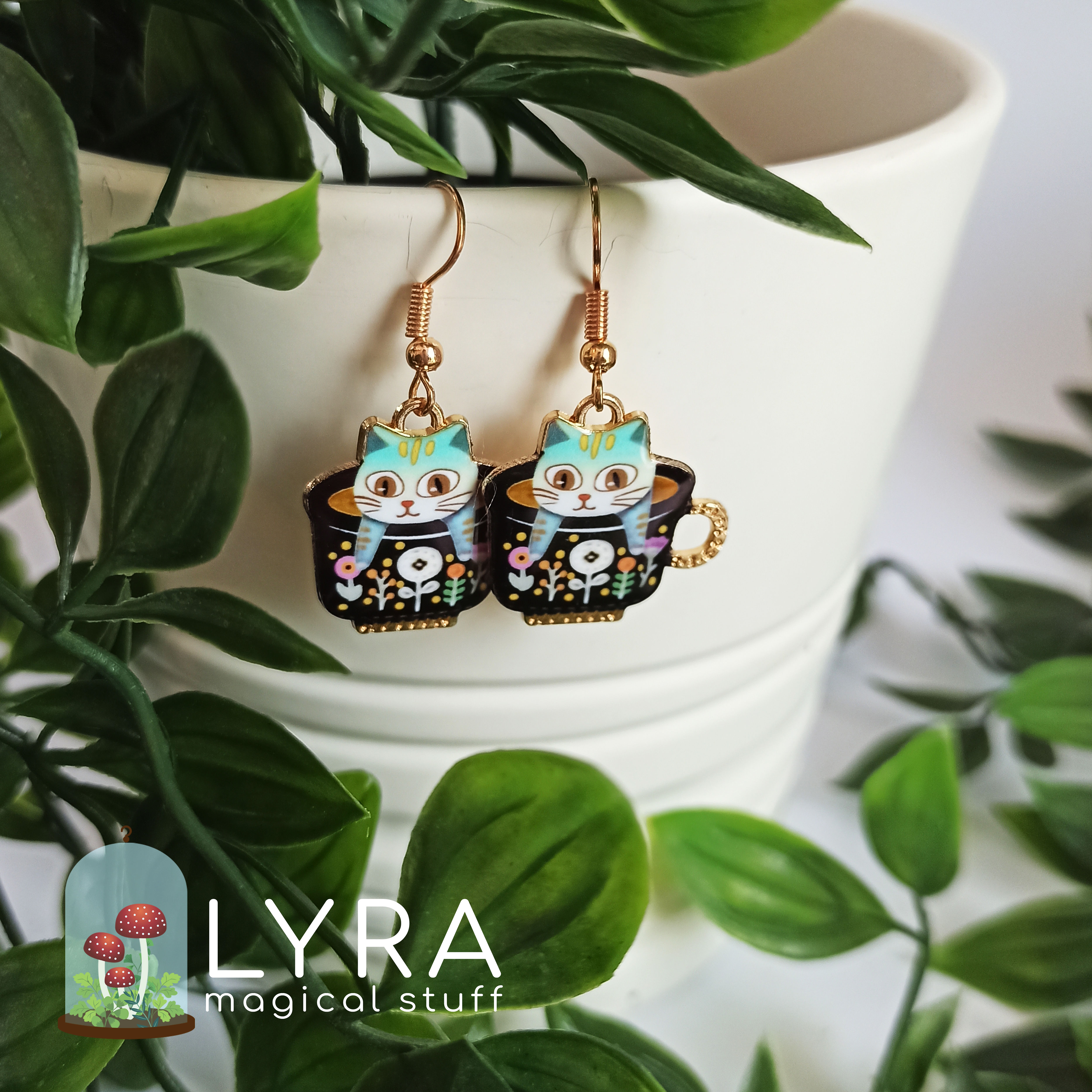 עגילי חתול בקפה