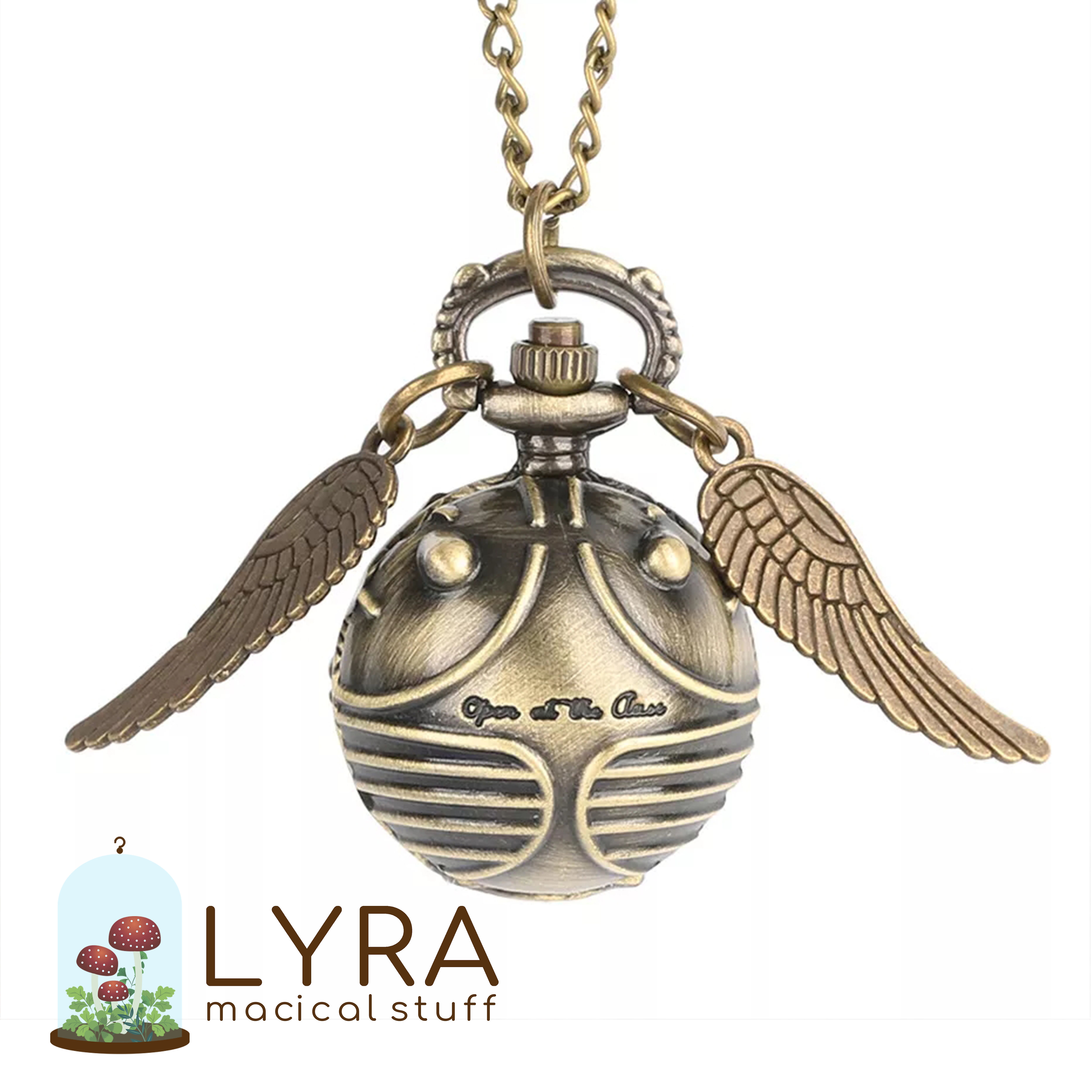 המחפש - שעון כיס מעוצב