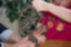 _DSC5419.jpeg