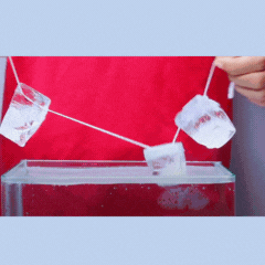 ICE EXPERIMENT.gif