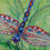 Thumbnail: Dragonfly #1