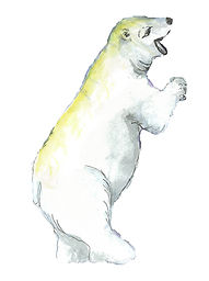 POLAR-BEARS_edited_edited.jpg
