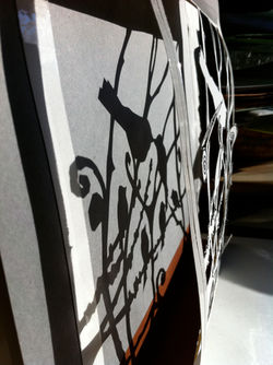 Paper Cutting & Projection