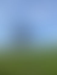 getting air as the rider jumps over a grassy hill
