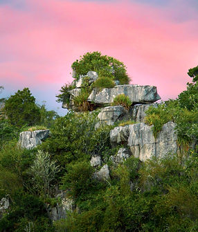 a hika rocks ss cc copy.jpg