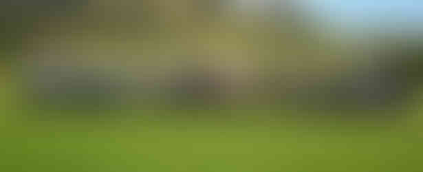 Land rovers at the 2025 Evnet