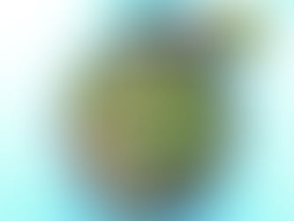 מפגש קח-תן לייחורי סוקלנטים וקקטוסים