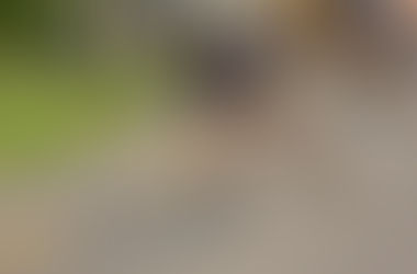 El mejor ejercicio de posición para los patinadores: Cómo utilizar las sentadillas para conseguir un