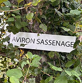 aviron sassenage