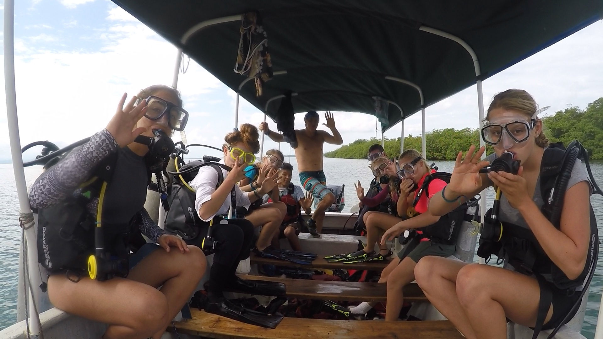Ready to dive!