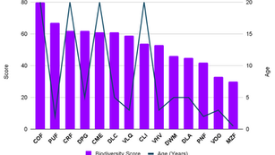 From Spades to Surveys