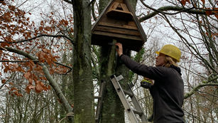 Création et installation de grands nichoirs pour les chouettes