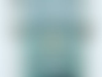 All the questions you wanted to ask about THE YIN TRIBE but were afraid to ask !