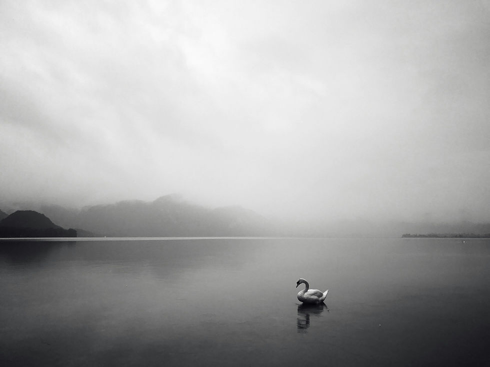 In Stillness, We Heal
