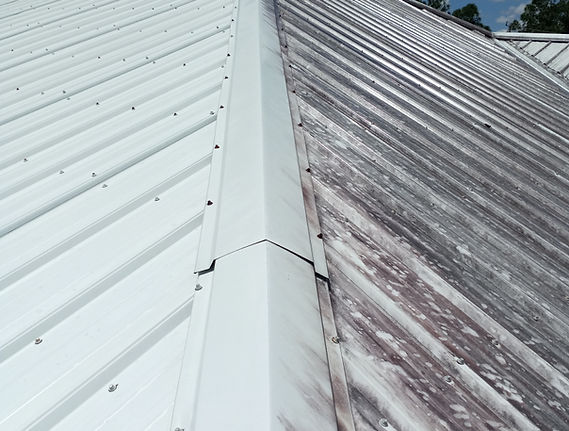 Roof cleaning