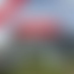 INAUGURATION DE NOTRE NOUVEAU SHOWROOM