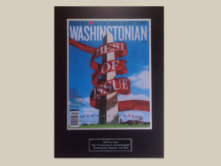 NOVA Cat Clinic Rated Among the Best in the Area by Washingtonian Magazine