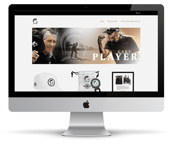 portfolio (8) (1).png