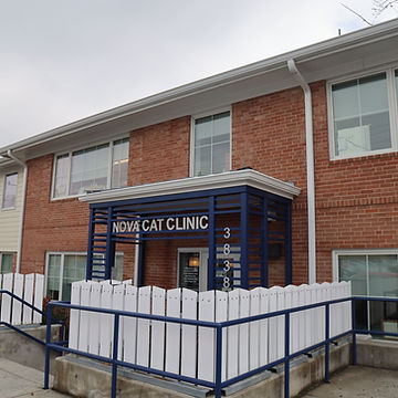 Nova Cat Clinic Building