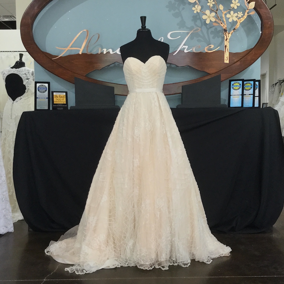 Bridal Dress Shops In Phoenix Az Carley Connellan