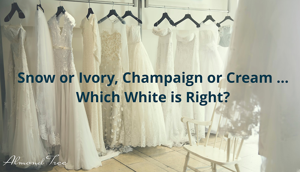 Wedding Gown Dress is White, Ivory, Cream, Champaign, and Beyond at Almond Tree Wedding Boutique