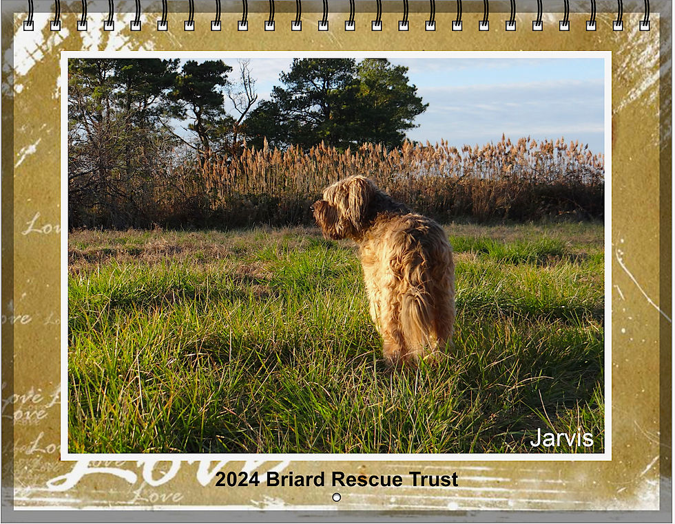 NEW 2024 Briard Calendar | briardrescuetrust NEW 2024 Briard Calendar | briardrescuetrust