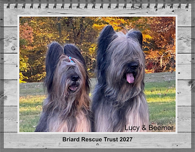 NEW 2027 Briard Calendar — FREE Shipping!