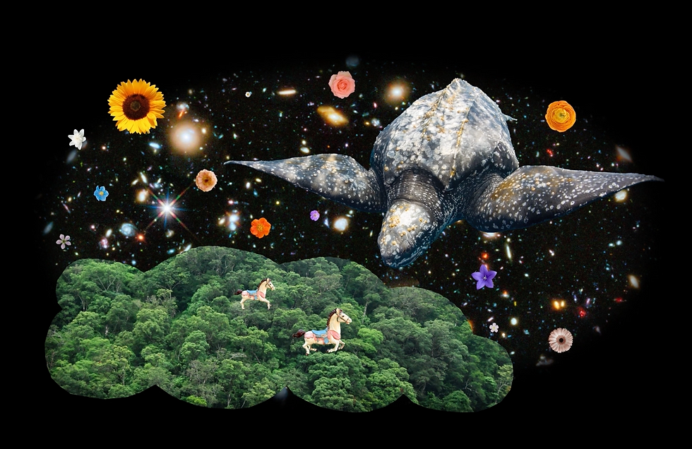 Screenshot 2025-10-19 at 20.09.12