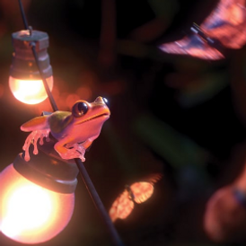 Screen Shot 2020-03-26 at 12.25.28.png