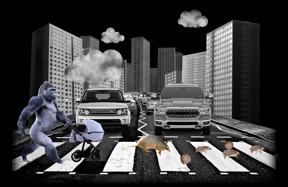 Screenshot 2025-10-19 at 20.06.50